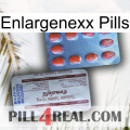 Enlargenexx Pills 36